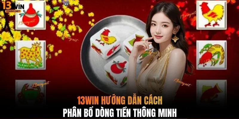 13WIN hướng dẫn cách phân bổ dòng tiền thông minh